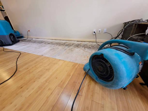 Professional Water Damage Repair technician working in Mapleton, UT